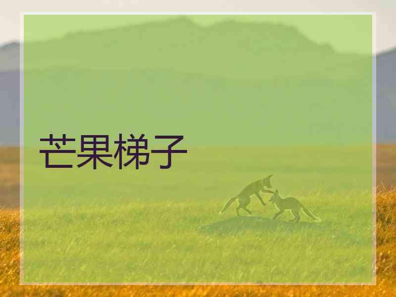 芒果梯子