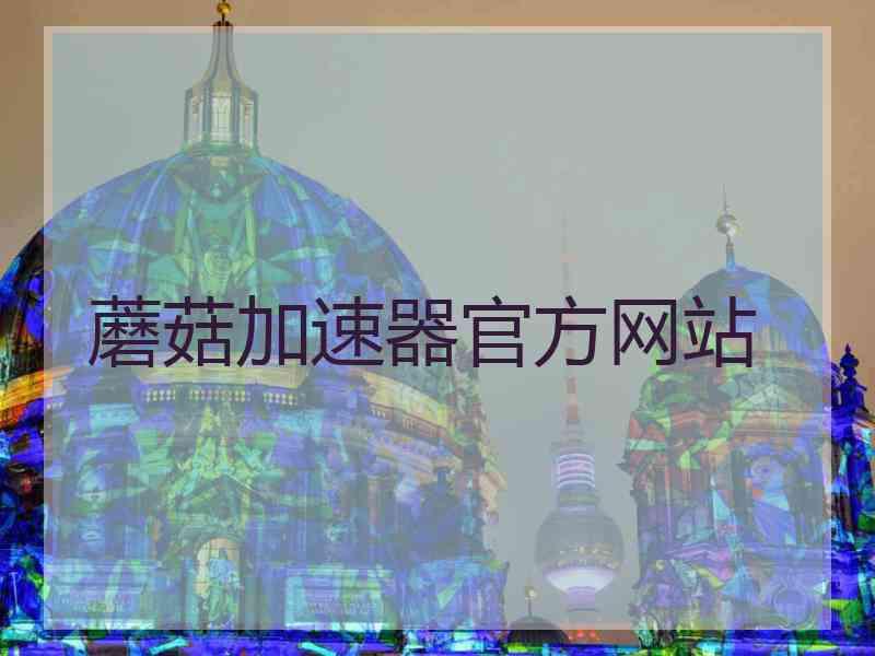 蘑菇加速器官方网站