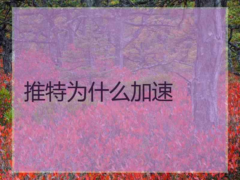 推特为什么加速