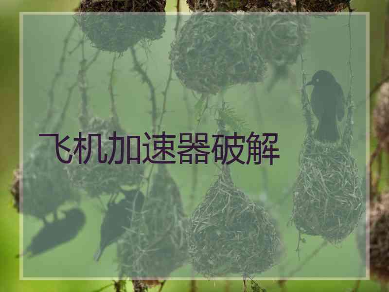 飞机加速器破解