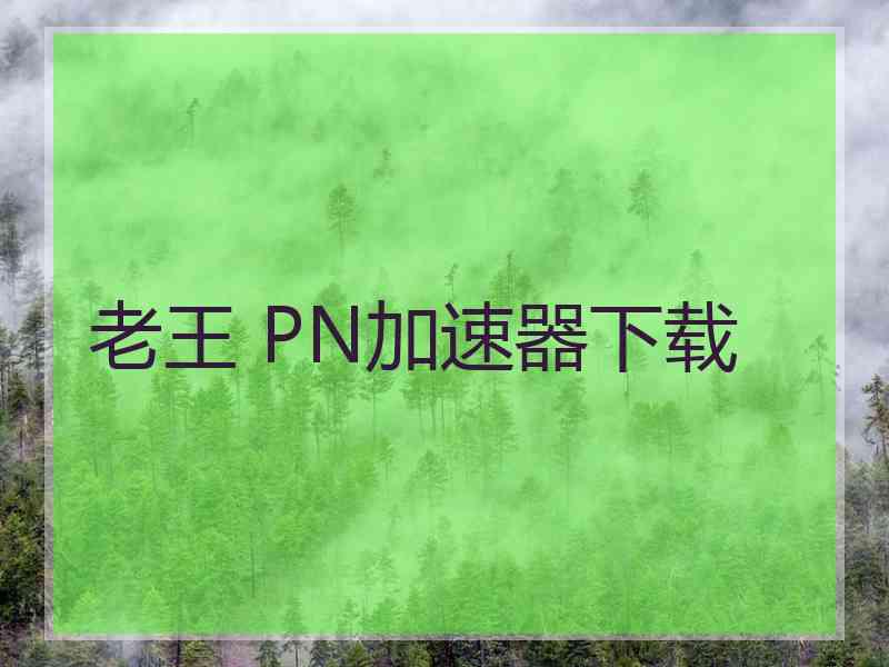 老王 PN加速器下载