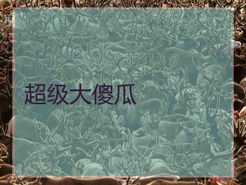 超级大傻瓜