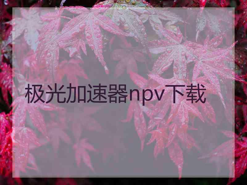 极光加速器npv下载