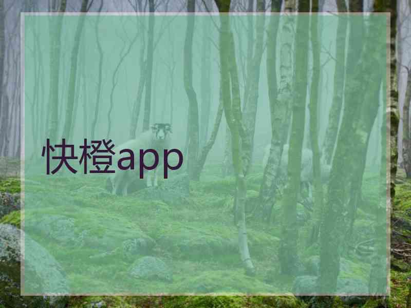 快橙app