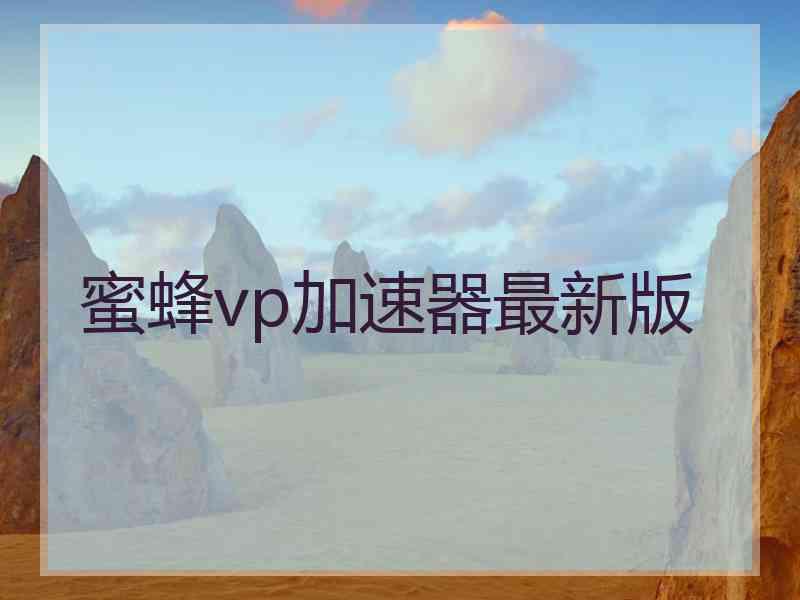 蜜蜂vp加速器最新版