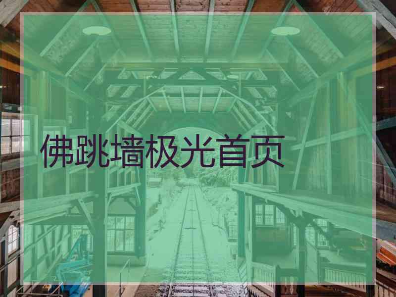 佛跳墙极光首页