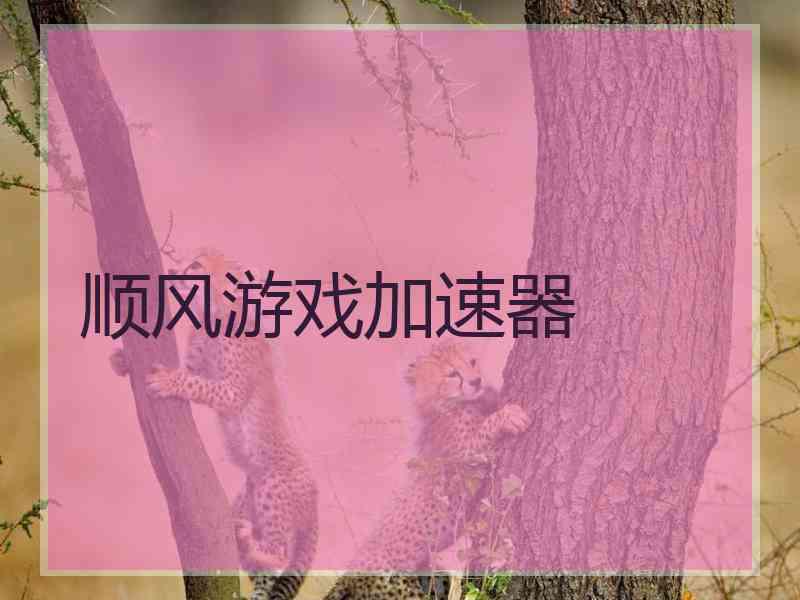 顺风游戏加速器
