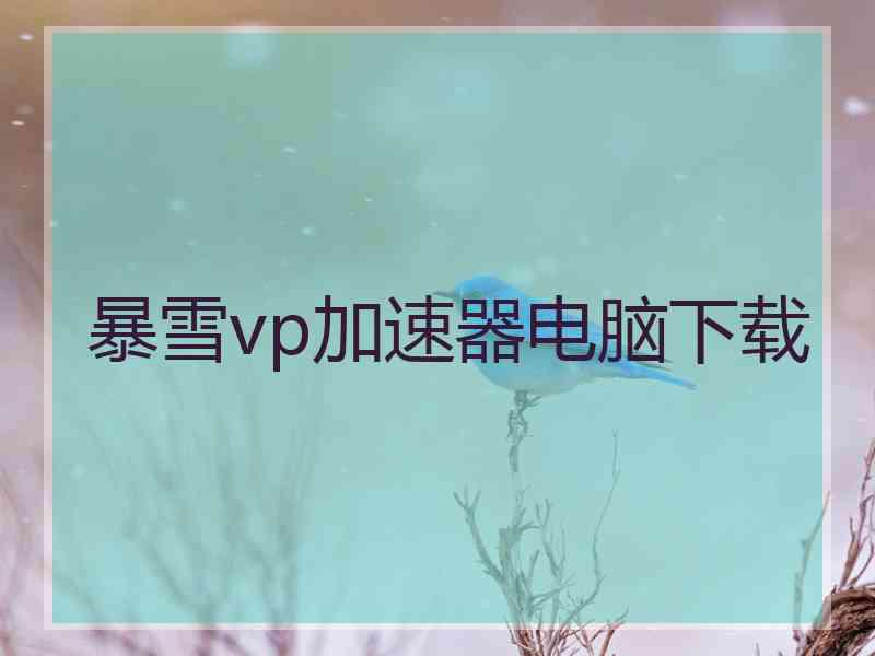 暴雪vp加速器电脑下载