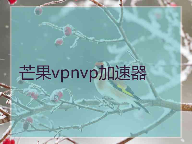 芒果vpnvp加速器