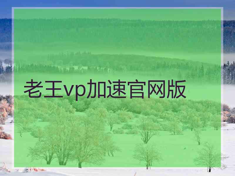 老王vp加速官网版