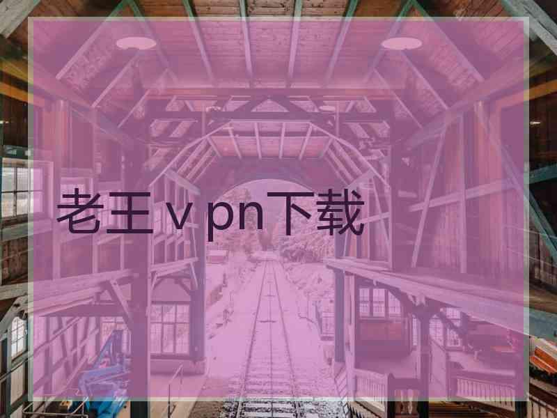 老王ⅴpn下载