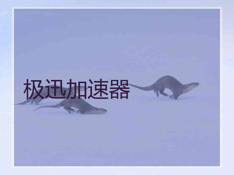极迅加速器