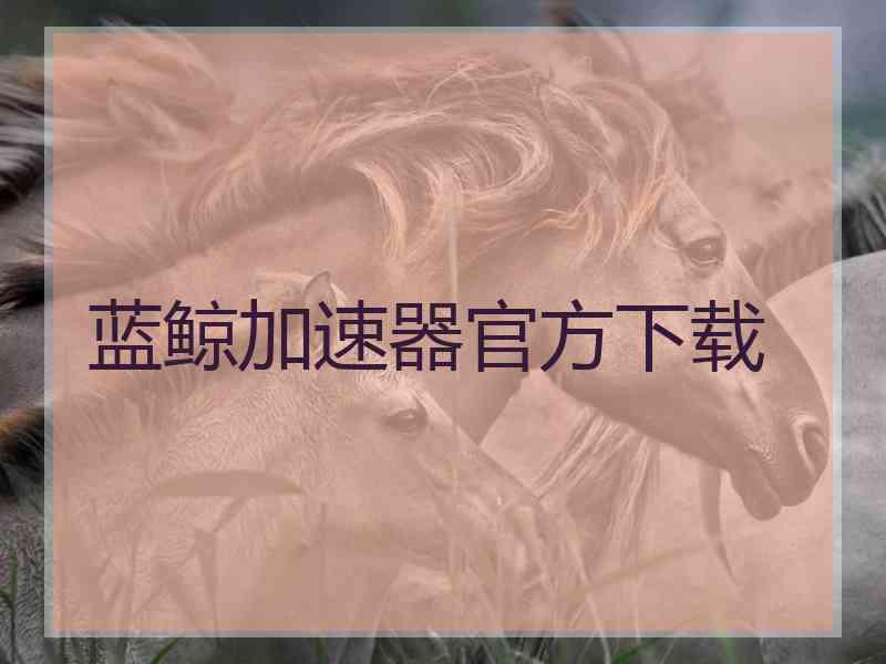 蓝鲸加速器官方下载