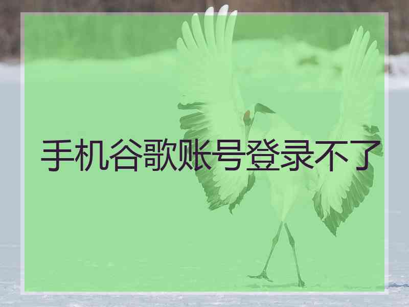 手机谷歌账号登录不了