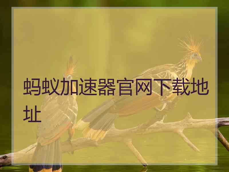 蚂蚁加速器官网下载地址