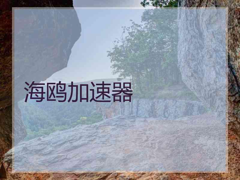 海鸥加速器
