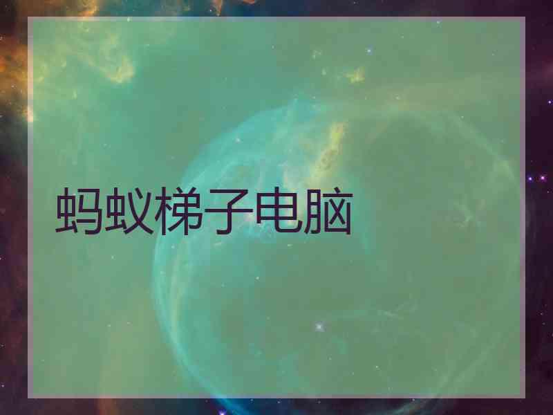 蚂蚁梯子电脑