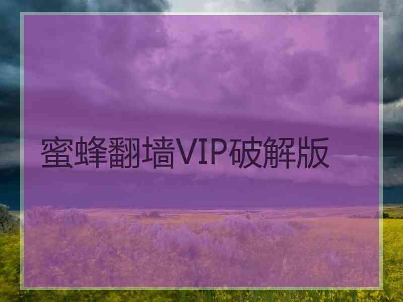 蜜蜂翻墙VIP破解版
