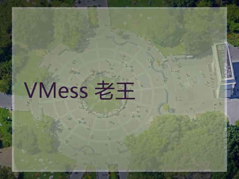 VMess 老王