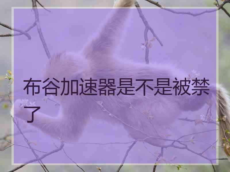 布谷加速器是不是被禁了