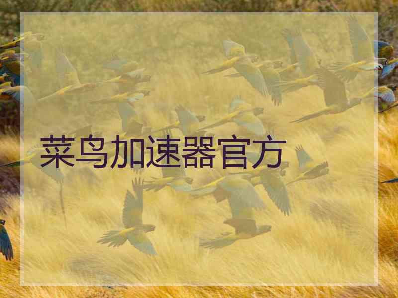 菜鸟加速器官方