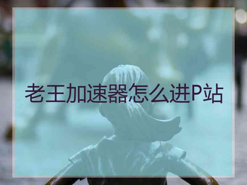 老王加速器怎么进P站