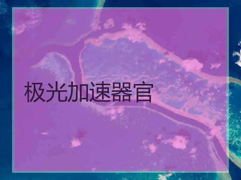 极光加速器官