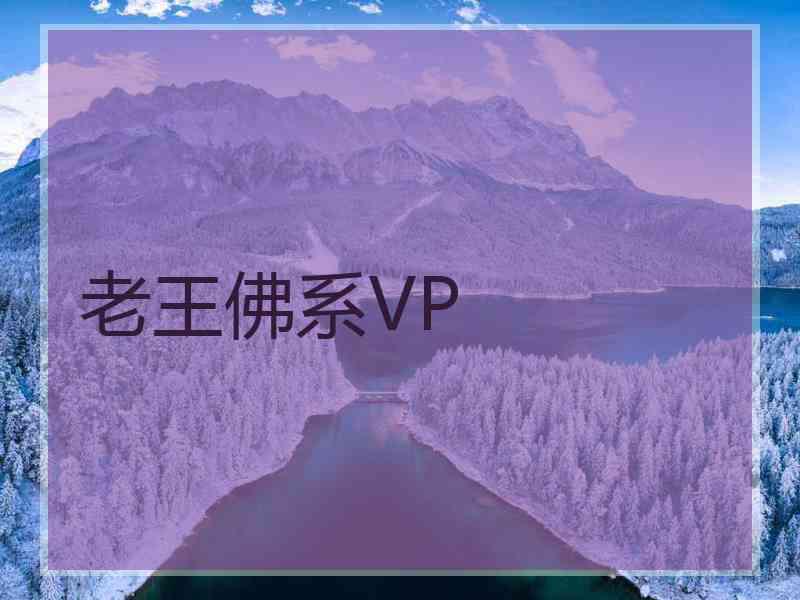 老王佛系VP