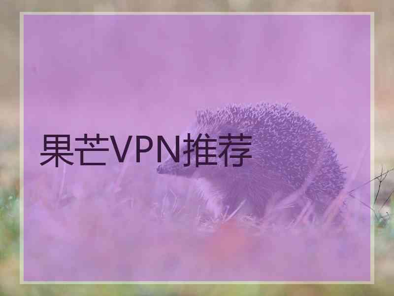 果芒VPN推荐
