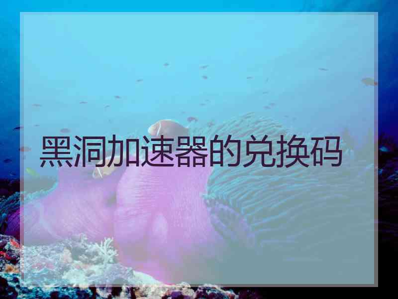 黑洞加速器的兑换码