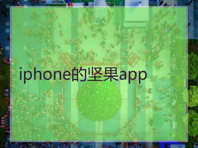 iphone的坚果app