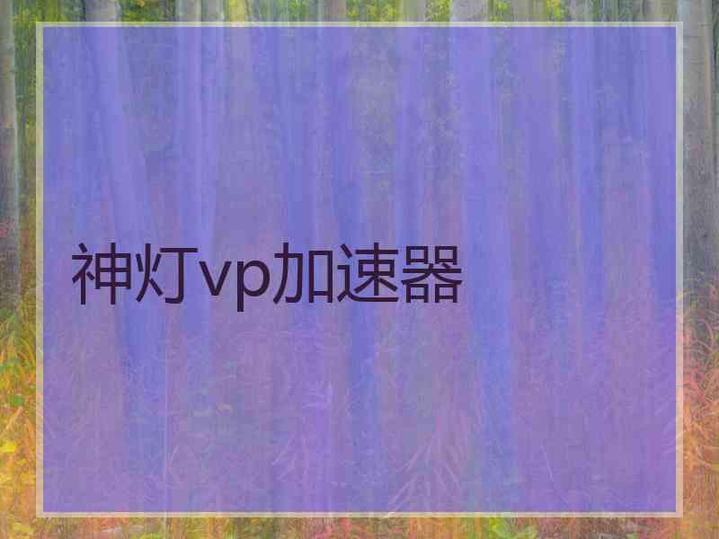 神灯vp加速器