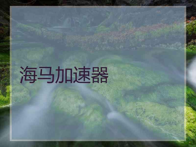 海马加速器