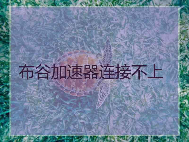 布谷加速器连接不上