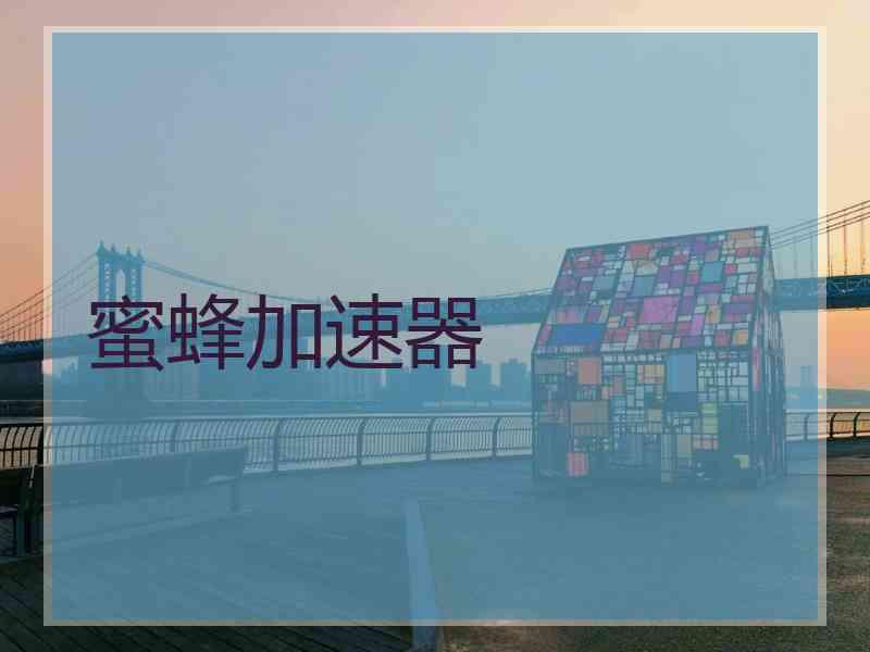 蜜蜂加速器