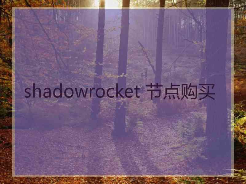 shadowrocket 节点购买