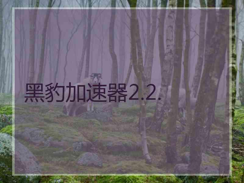 黑豹加速器2.2.