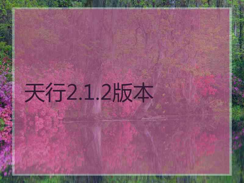天行2.1.2版本