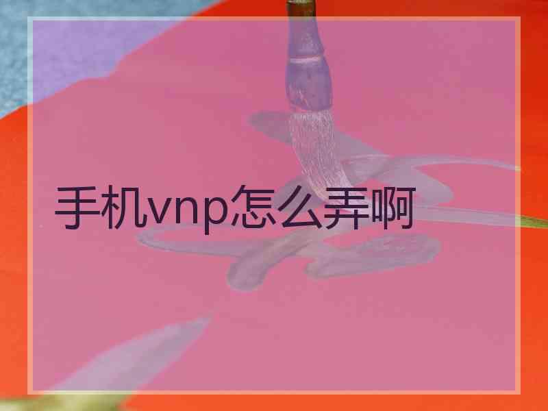 手机vnp怎么弄啊