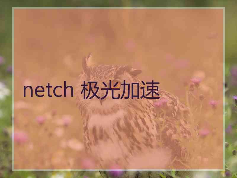 netch 极光加速