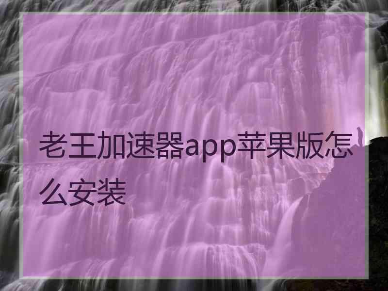 老王加速器app苹果版怎么安装