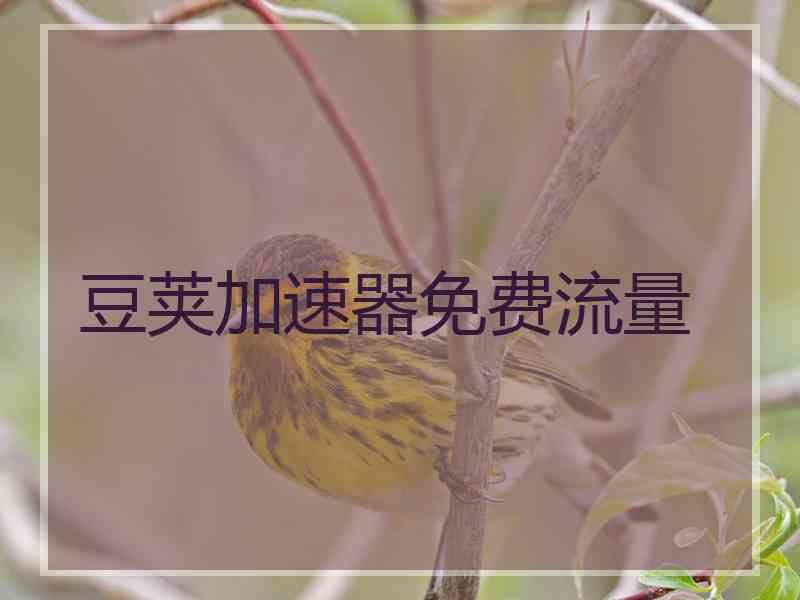 豆荚加速器免费流量