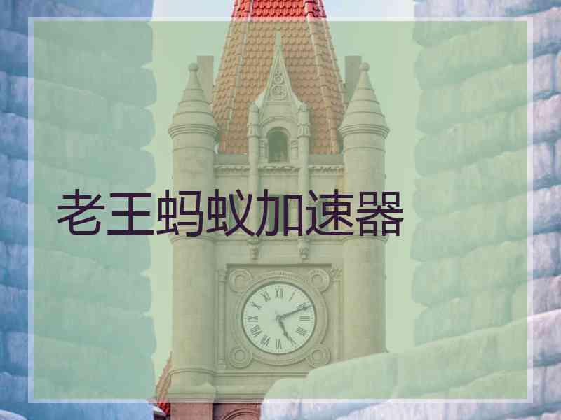老王蚂蚁加速器