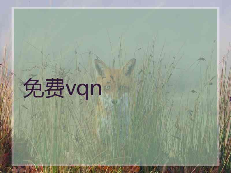 免费vqn
