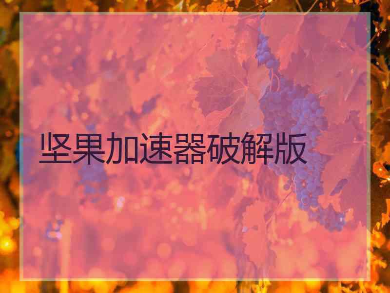 坚果加速器破解版