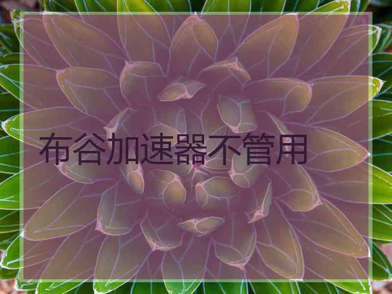 布谷加速器不管用