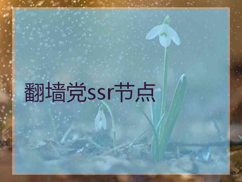 翻墙党ssr节点
