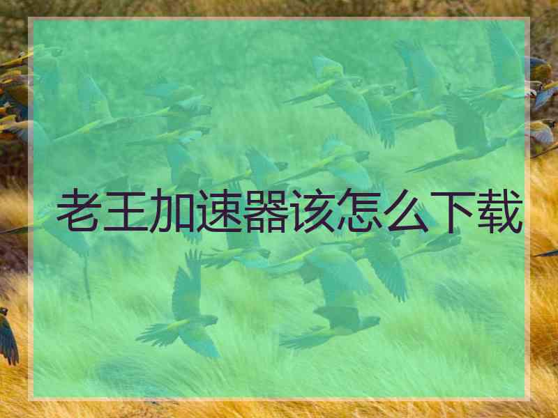 老王加速器该怎么下载