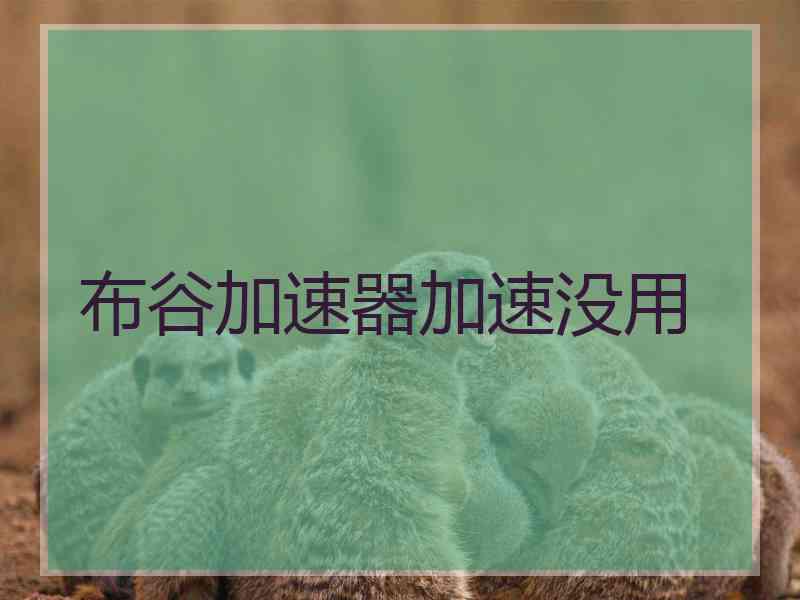 布谷加速器加速没用