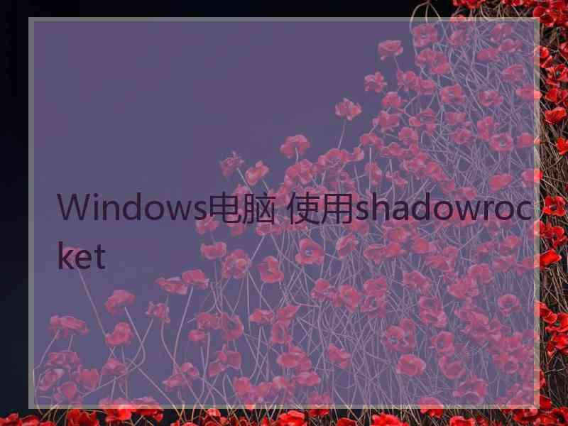 Windows电脑 使用shadowrocket
